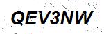 CAPTCHA verification image containing distorted text characters