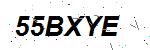CAPTCHA verification image containing distorted text characters