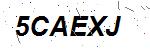 CAPTCHA verification image containing distorted text characters