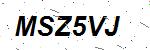 CAPTCHA verification image containing distorted text characters