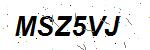 CAPTCHA verification image containing distorted text characters