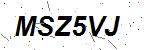 CAPTCHA verification image containing distorted text characters