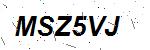 CAPTCHA verification image containing distorted text characters