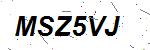 CAPTCHA verification image containing distorted text characters