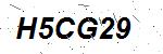 CAPTCHA verification image containing distorted text characters