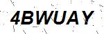 CAPTCHA verification image containing distorted text characters