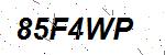 CAPTCHA verification image containing distorted text characters