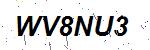 CAPTCHA verification image containing distorted text characters