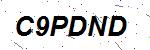 CAPTCHA verification image containing distorted text characters