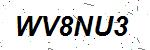 CAPTCHA verification image containing distorted text characters