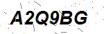 CAPTCHA verification image containing distorted text characters