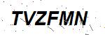 CAPTCHA verification image containing distorted text characters