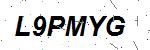 CAPTCHA verification image containing distorted text characters