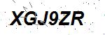 CAPTCHA verification image containing distorted text characters