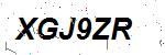 CAPTCHA verification image containing distorted text characters