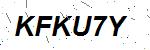 CAPTCHA verification image containing distorted text characters