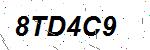 CAPTCHA verification image containing distorted text characters