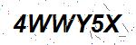 CAPTCHA verification image containing distorted text characters