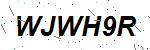 CAPTCHA verification image containing distorted text characters