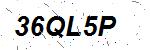 CAPTCHA verification image containing distorted text characters