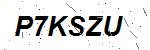CAPTCHA verification image containing distorted text characters