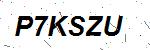 CAPTCHA verification image containing distorted text characters