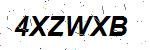 CAPTCHA verification image containing distorted text characters