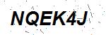 CAPTCHA verification image containing distorted text characters